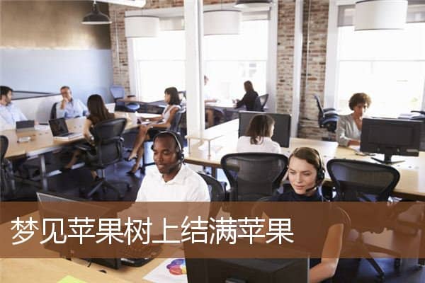 梦见苹果树上结满苹果是什么意思