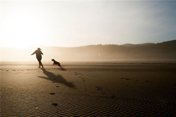 梦见被狗追是什么意思