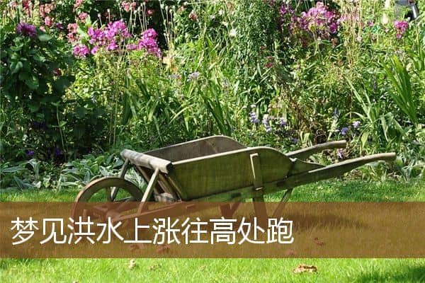 梦见洪水上涨往高处跑是什么意思