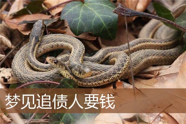 梦见追债人要钱是什么意思