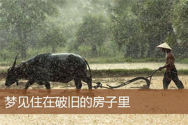 梦见住在破旧的房子里是什么意思