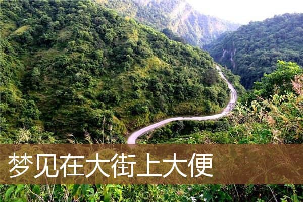 梦见在大街上大便是什么意思