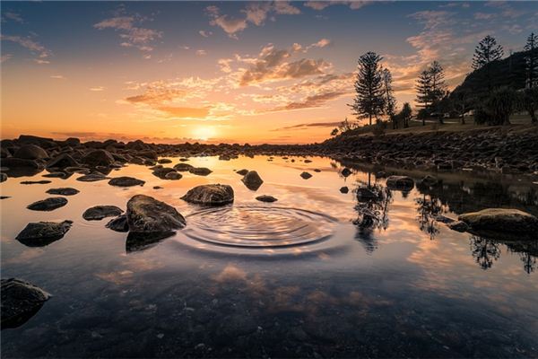 梦见到处是水是什么意思