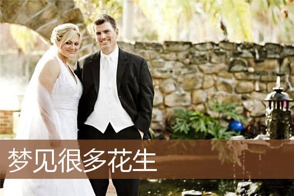 梦见很多花生是什么意思