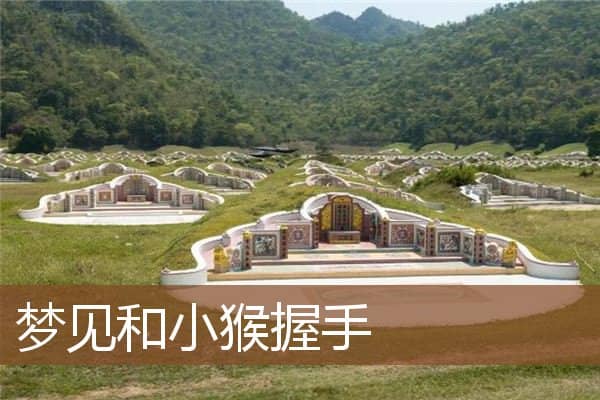 梦见和小猴握手是什么意思