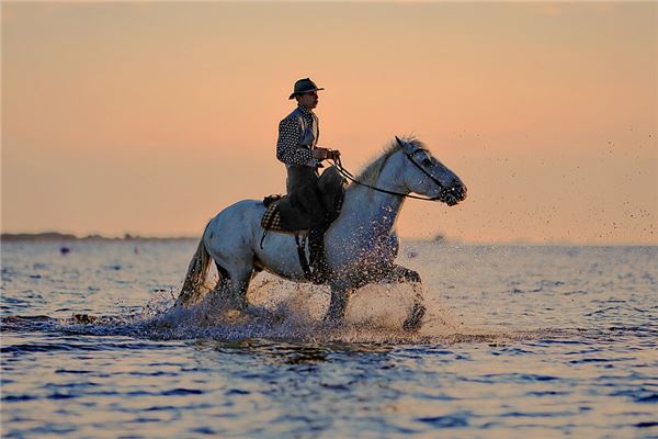 梦见别人骑马是什么意思