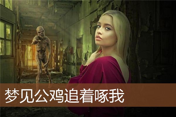 梦见公鸡追着啄我是什么意思