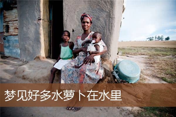 梦见好多水萝卜在水里是什么意思