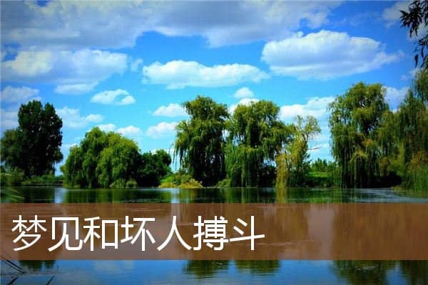 梦见和坏人搏斗是什么意思