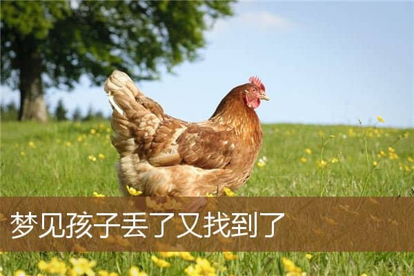 梦见孩子丢了又找到了是什么意思