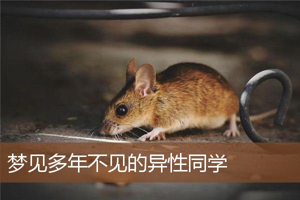 梦见多年不见的异性同学是什么意思