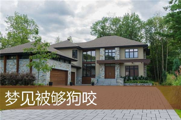 梦见被够狗咬是什么意思