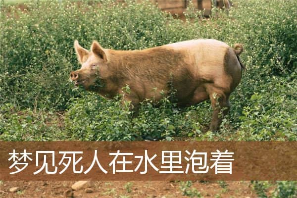 梦见死人在水里泡着是什么意思