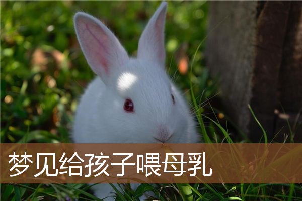 梦见给孩子喂母乳是什么意思