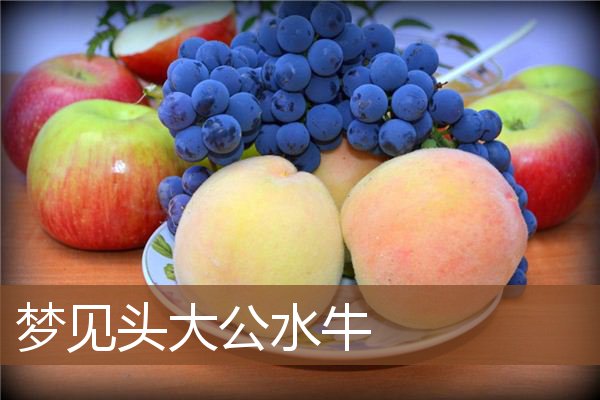 梦见头大公水牛是什么意思