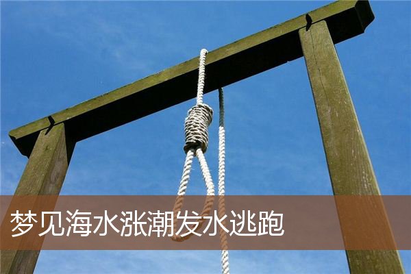 梦见海水涨潮发水逃跑是什么意思