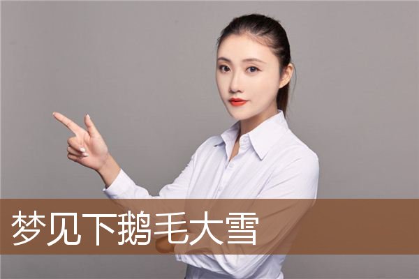 梦见下鹅毛大雪是什么意思