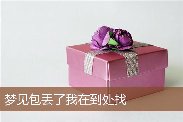 梦见包丢了我在到处找是什么意思
