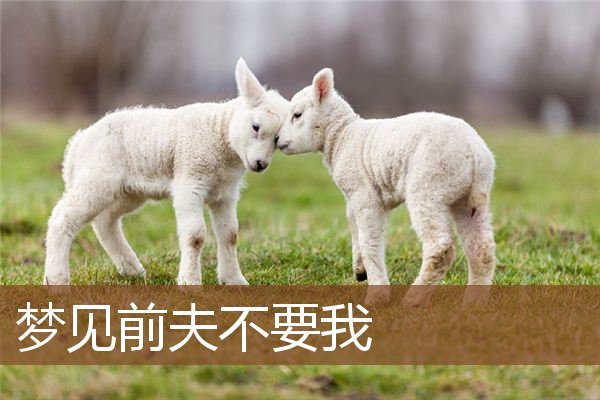 梦见前夫不要我是什么意思