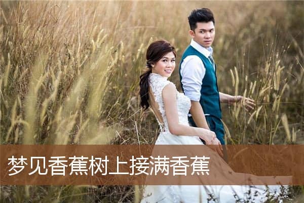 梦见香蕉树上接满香蕉是什么意思