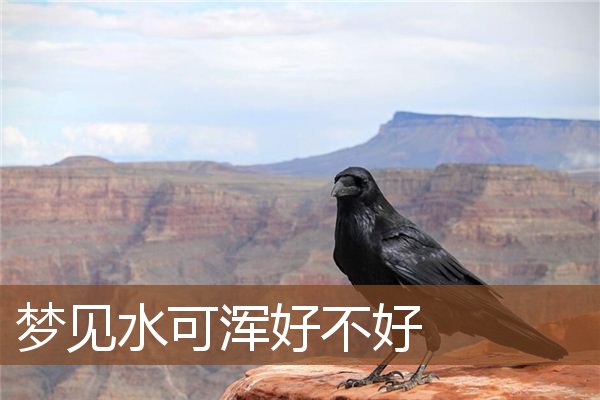 梦见水可浑好不好是什么意思
