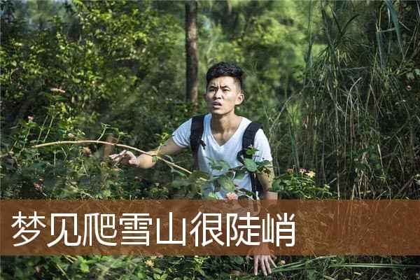 梦见爬雪山很陡峭是什么意思