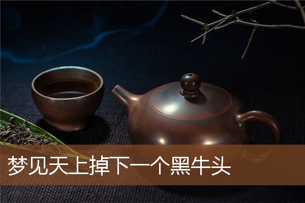 梦见天上掉下一个黑牛头是什么意思