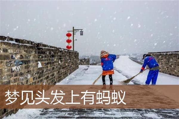 梦见头发上有蚂蚁是什么意思