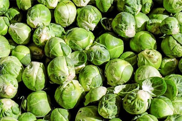 梦见卷心菜是什么意思