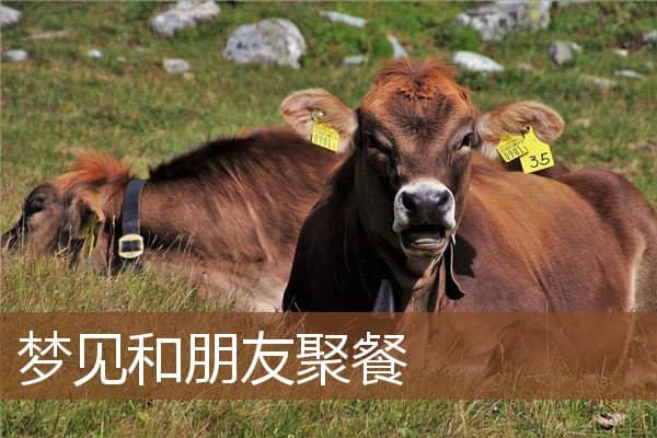 梦见和朋友聚餐是什么意思