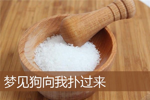 梦见狗向我扑过来是什么意思