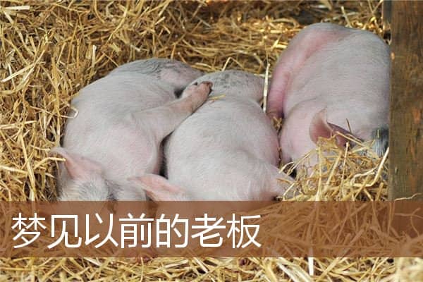 梦见以前的老板是什么意思