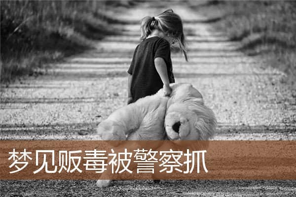 梦见贩毒被警察抓是什么意思