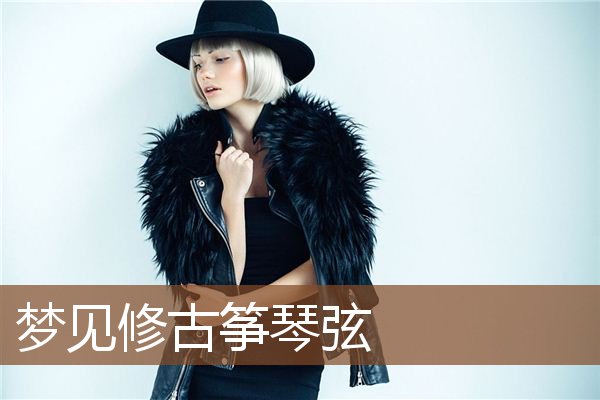 梦见修古筝琴弦是什么意思