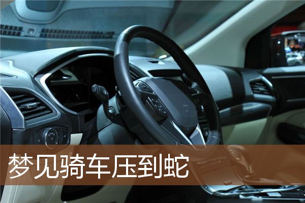 梦见骑车压到蛇是什么意思