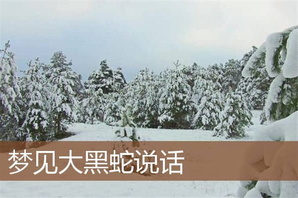 梦见大黑蛇说话是什么意思