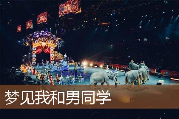 梦见我和男同学是什么意思