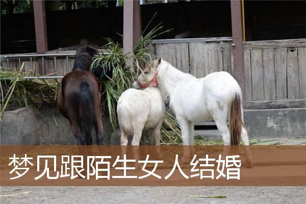 梦见跟陌生女人结婚是什么意思