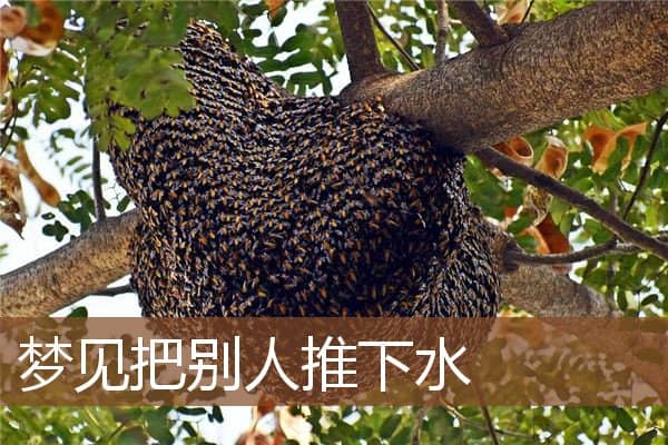 梦见把别人推下水是什么意思