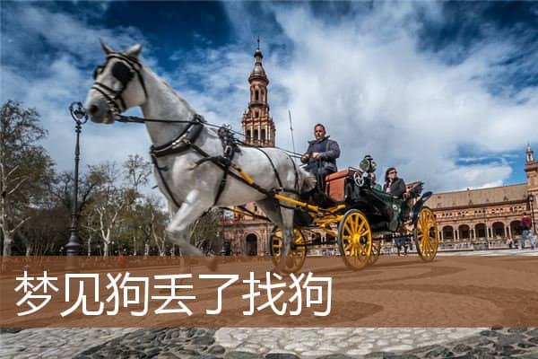 梦见狗丢了找狗是什么意思