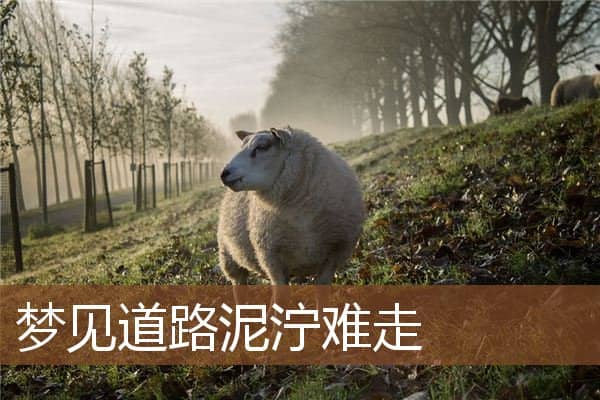 梦见道路泥泞难走是什么意思