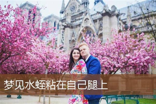 梦见水蛭粘在自己腿上是什么意思