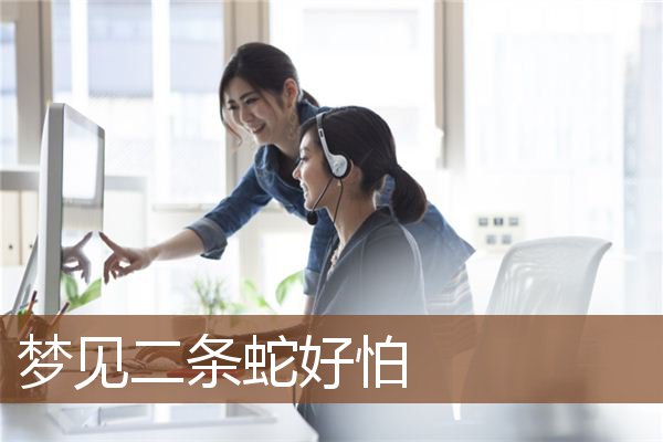 梦见二条蛇好怕是什么意思