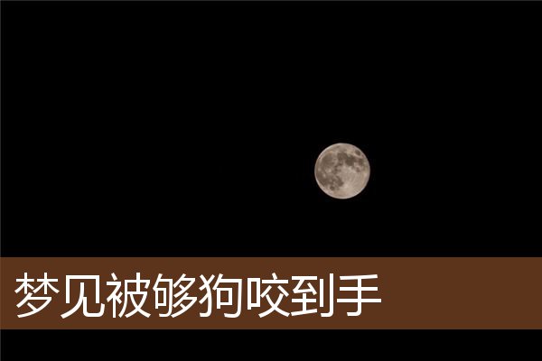 梦见被够狗咬到手是什么意思