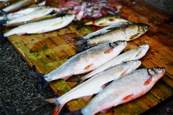 梦见三条鲫鱼是什么意思