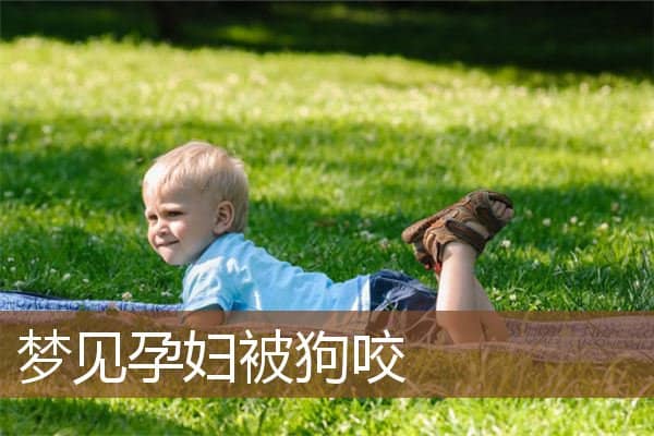 梦见孕妇被狗咬是什么意思