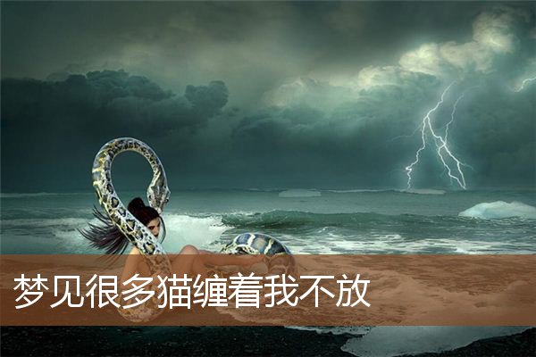 梦见很多猫缠着我不放是什么意思