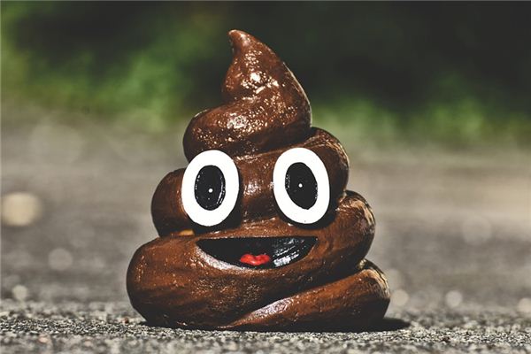 梦见看见屎是什么意思