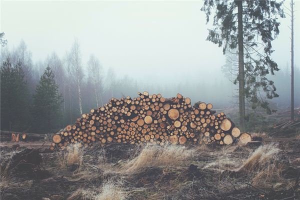 梦见拾柴火是什么意思