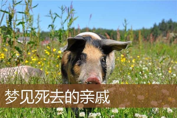 梦见死去的亲戚是什么意思